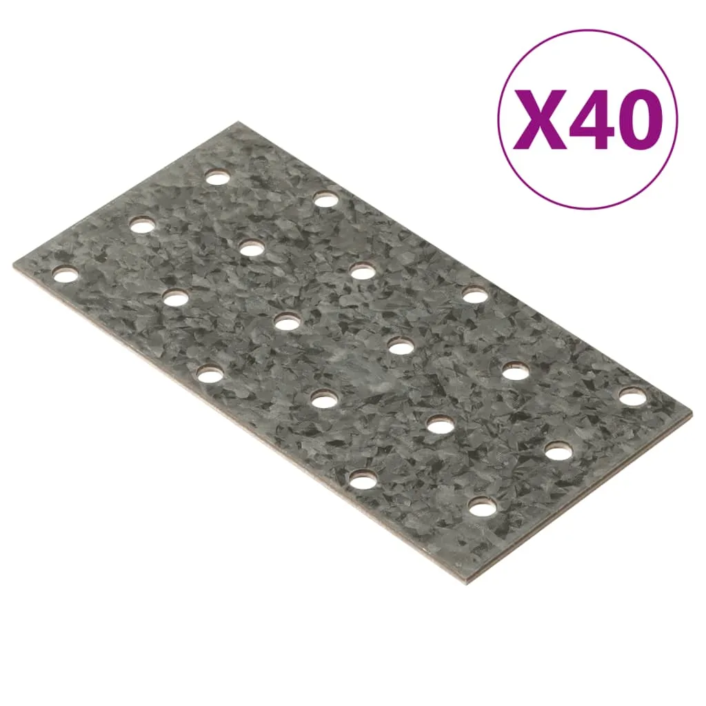 vidaXL Piastre Forate 40 pz 2 mm 120x60 mm Acciaio Zincato