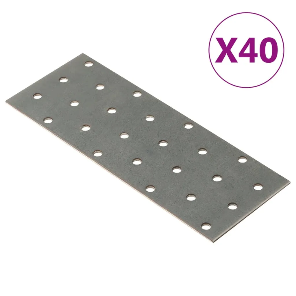 vidaXL Piastre Forate 40 pz 2 mm 160x60 mm Acciaio Zincato