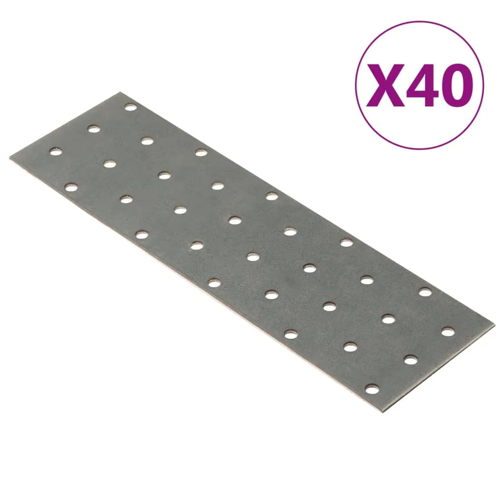 vidaXL Piastre Forate 40 pz 2 mm 200x60 mm Acciaio Zincato