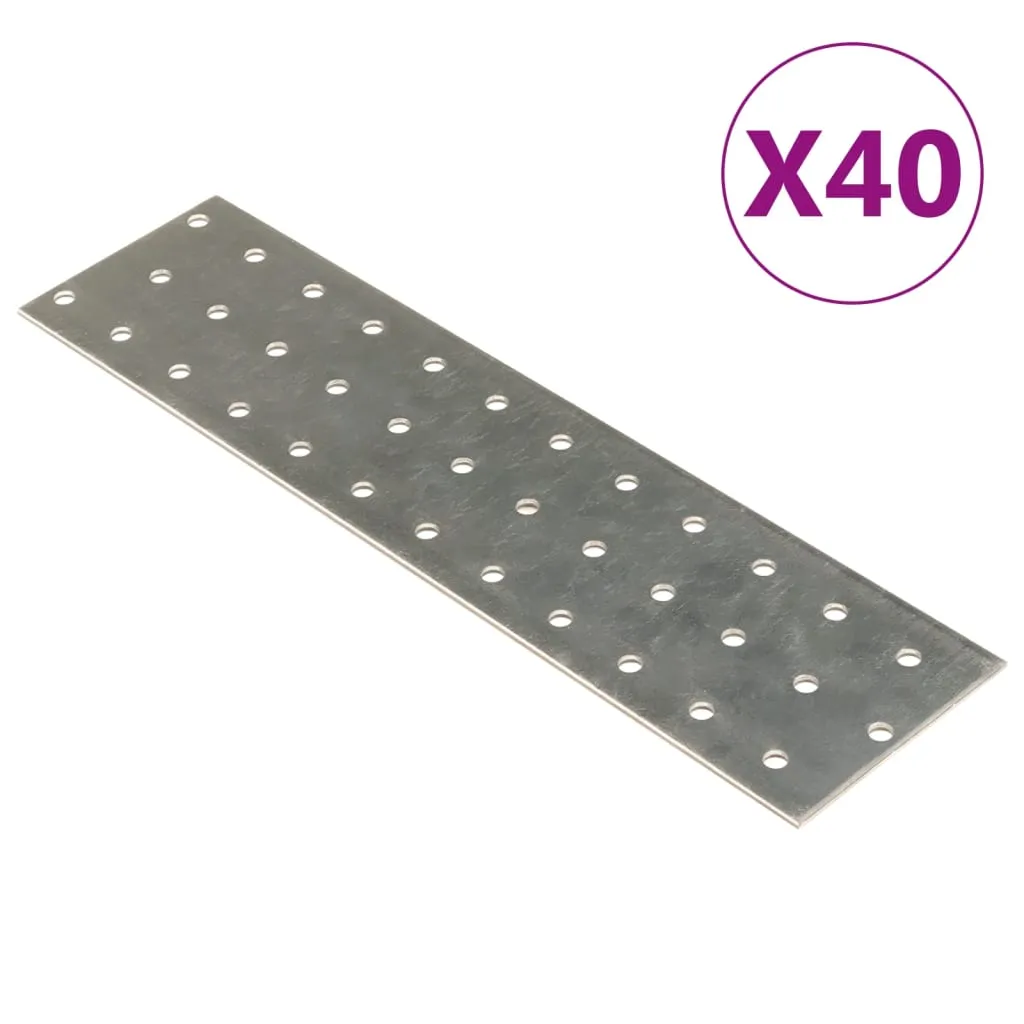 vidaXL Piastre Forate 40 pz 2 mm 240x60 mm Acciaio Zincato