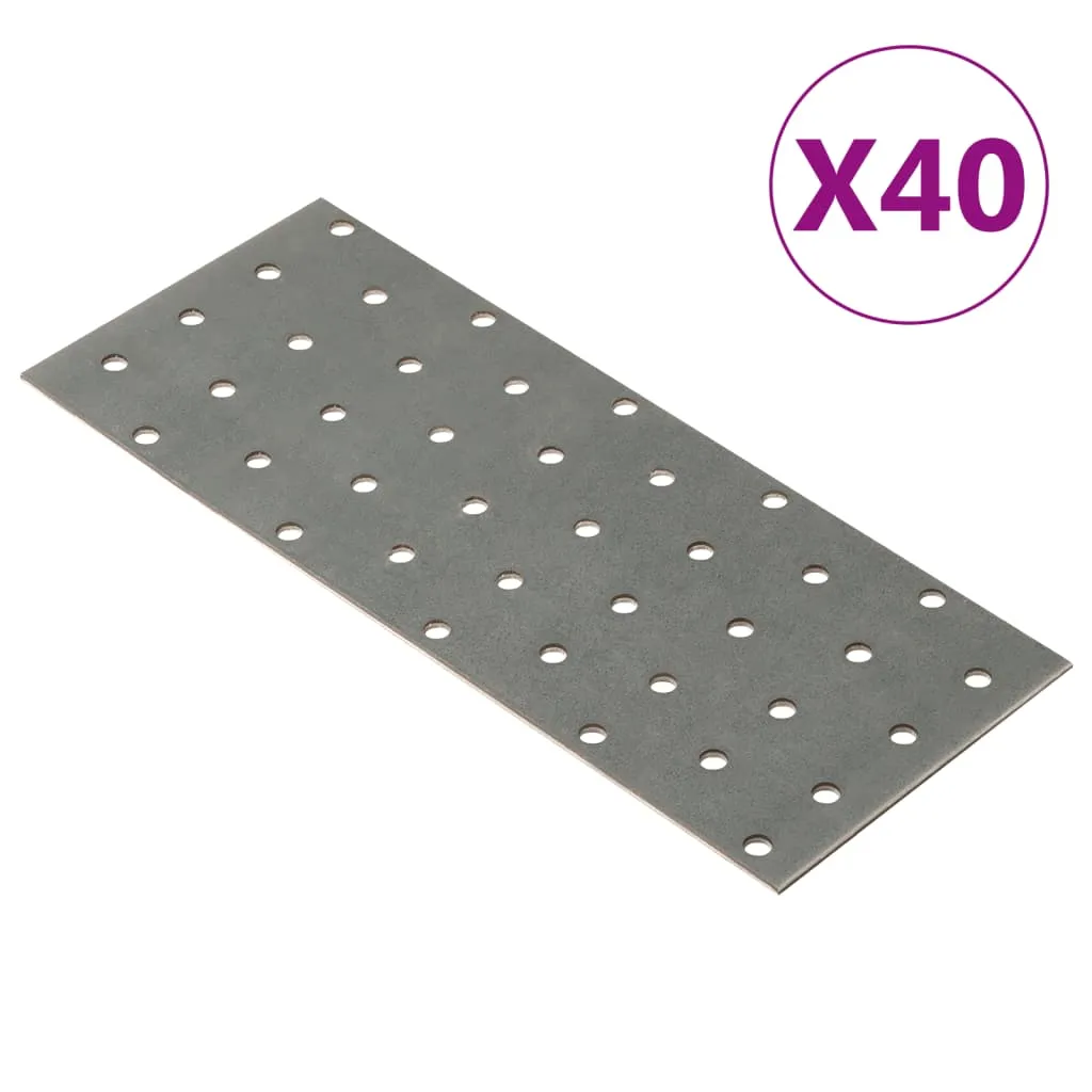 vidaXL Piastre Forate 40 pz 2 mm 200x80 mm Acciaio Zincato