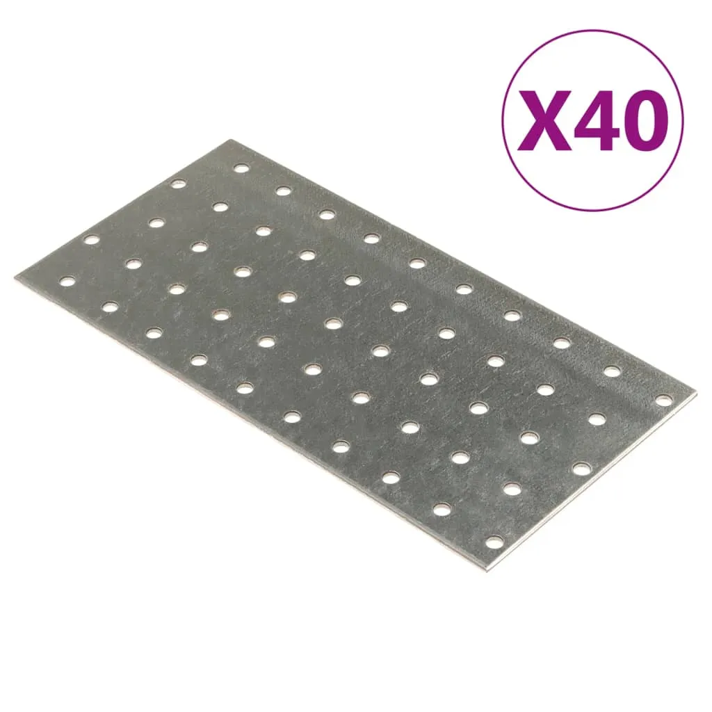 vidaXL Piastre Forate 40 pz 2 mm 200x100 mm Acciaio Zincato