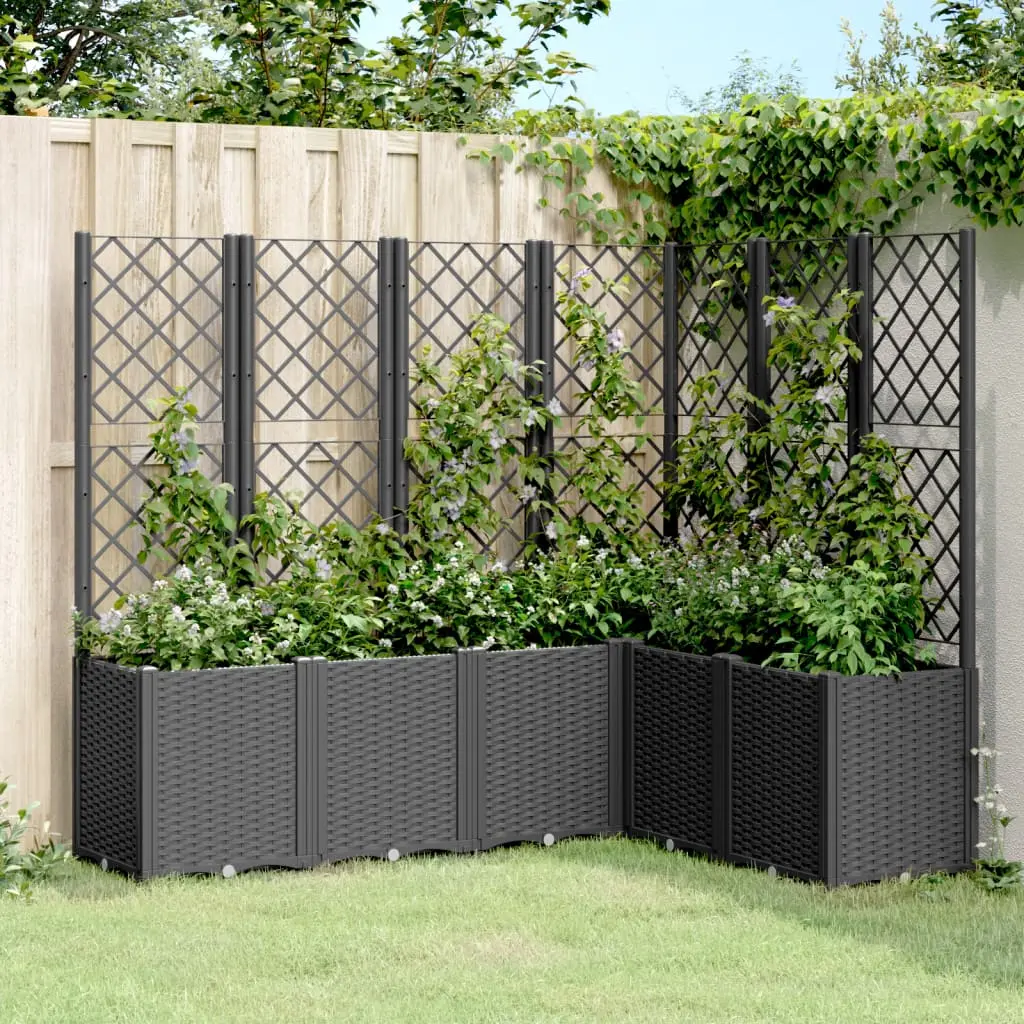 Fioriera Giardino con Graticcio Nera 160x120x140 cm in PP