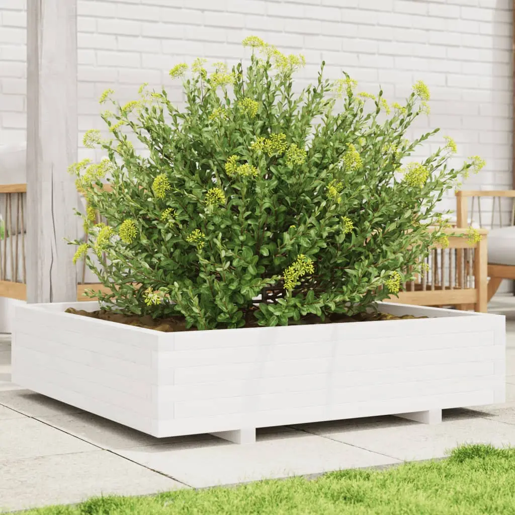 Fioriera da Giardino Bianca 100x100x26,5cm Legno Massello Pino