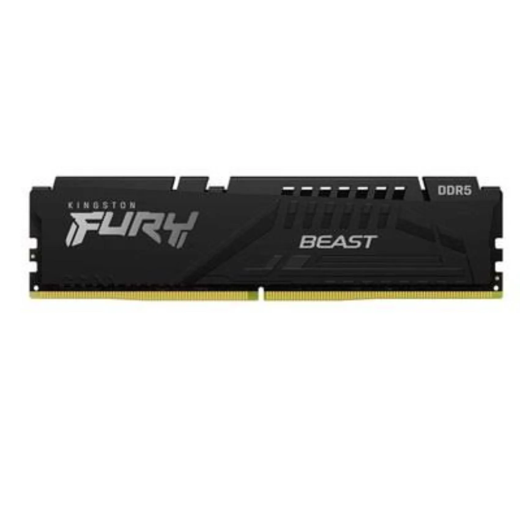 16GB 5600 DDR5  DIMM K2 F.B.B.EXPO