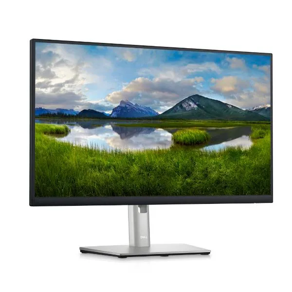 DELL 24 MONITOR - P2423D