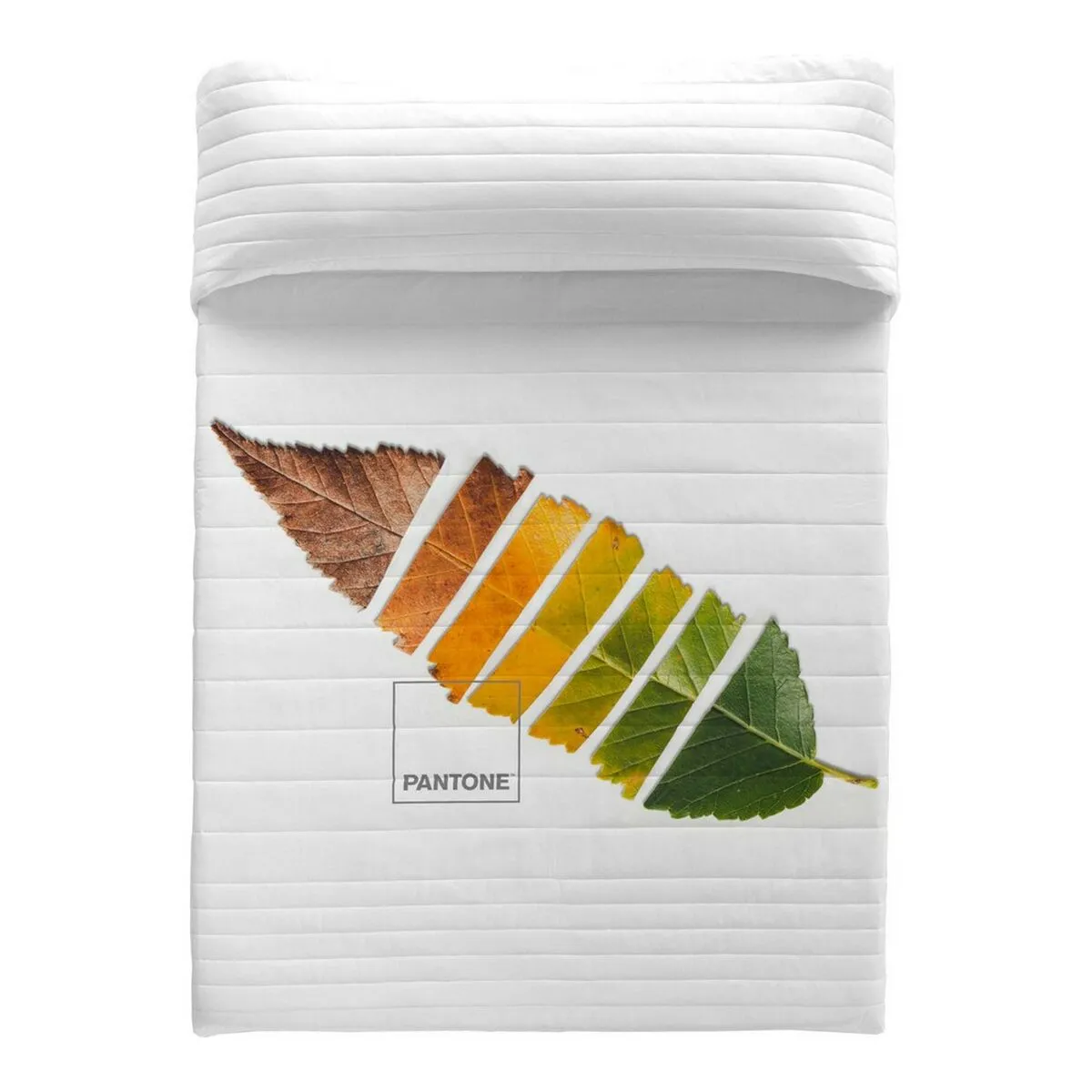 Trapunta Leaf Pantone