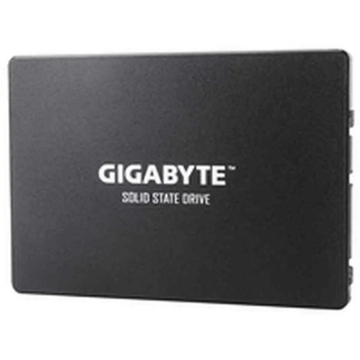 Hard Disk Gigabyte GP-GSTFS31 2,5" SSD 450-550 MB/s