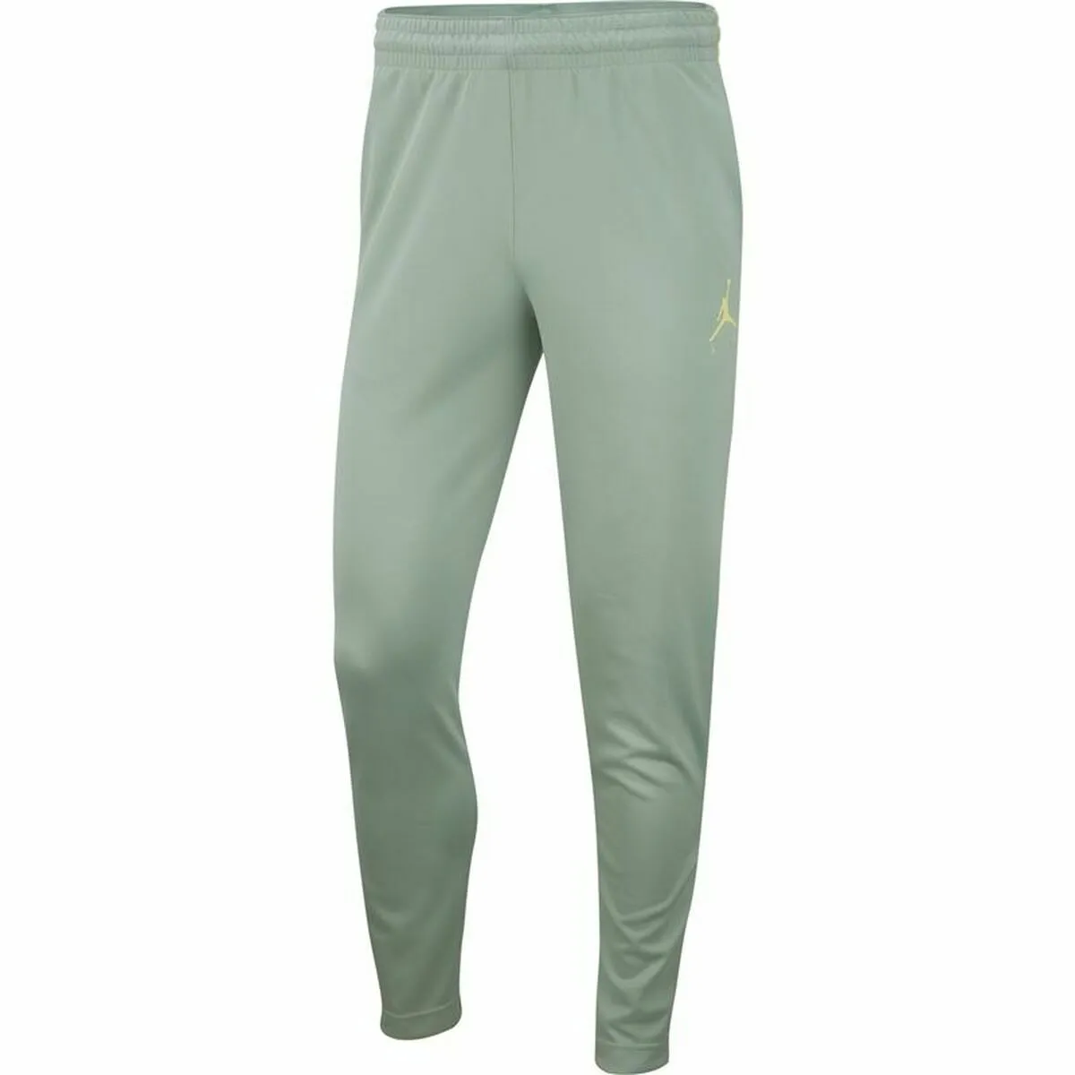 Pantalone per Adulti Jordan Jumpman Flight  Nike Unisex Acquamarina