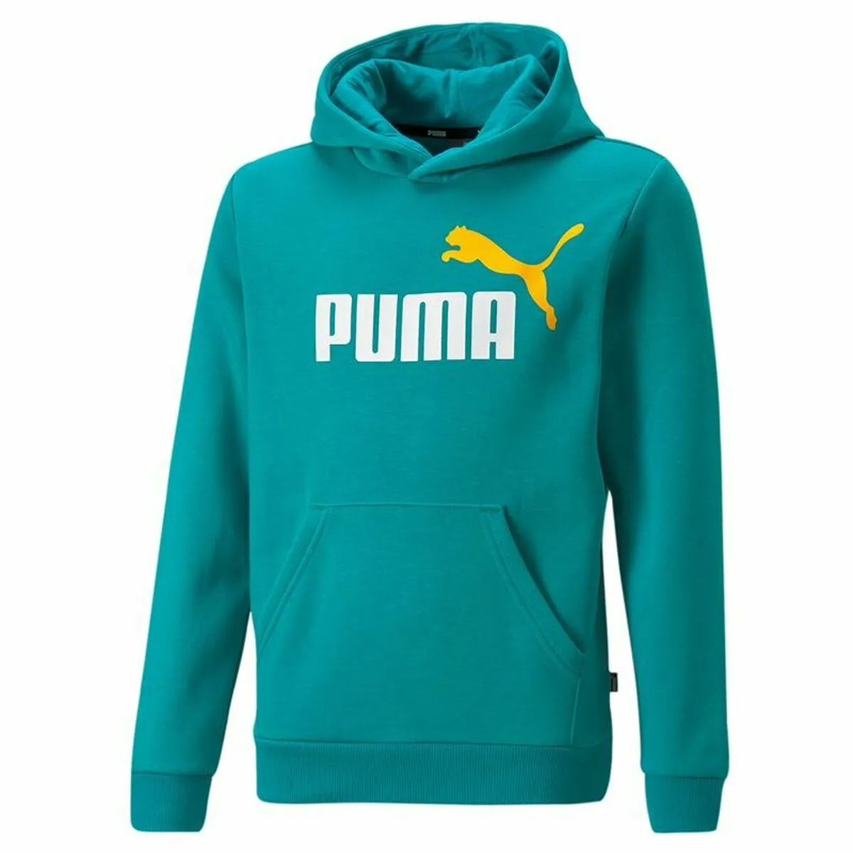 Felpa con Cappuccio Uomo Puma Essentials+ Two-T Ciano