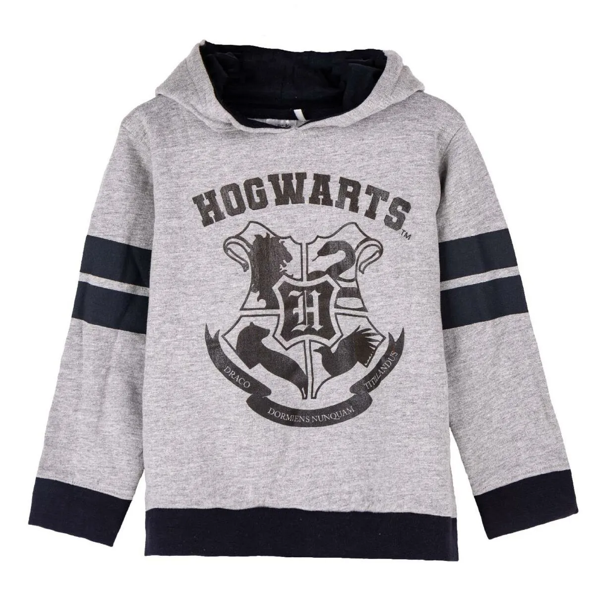 Felpa con Cappuccio Bambino Harry Potter Grigio