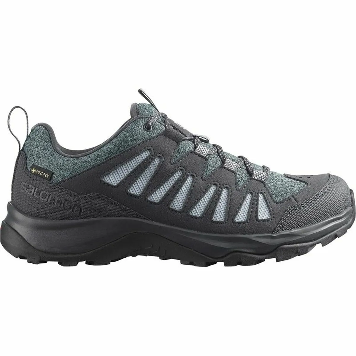 Scarpe Sportive da Donna Salomon EOS GTX Grigio