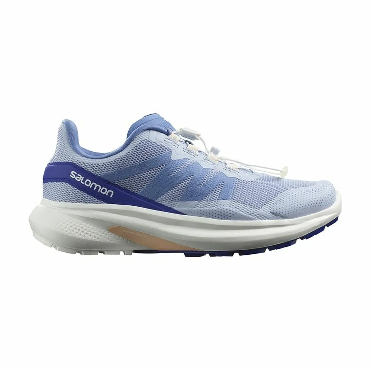 Scarpe da Running per Adulti Salomon Hypulse Gore-Tex Azzurro Chiaro Donna