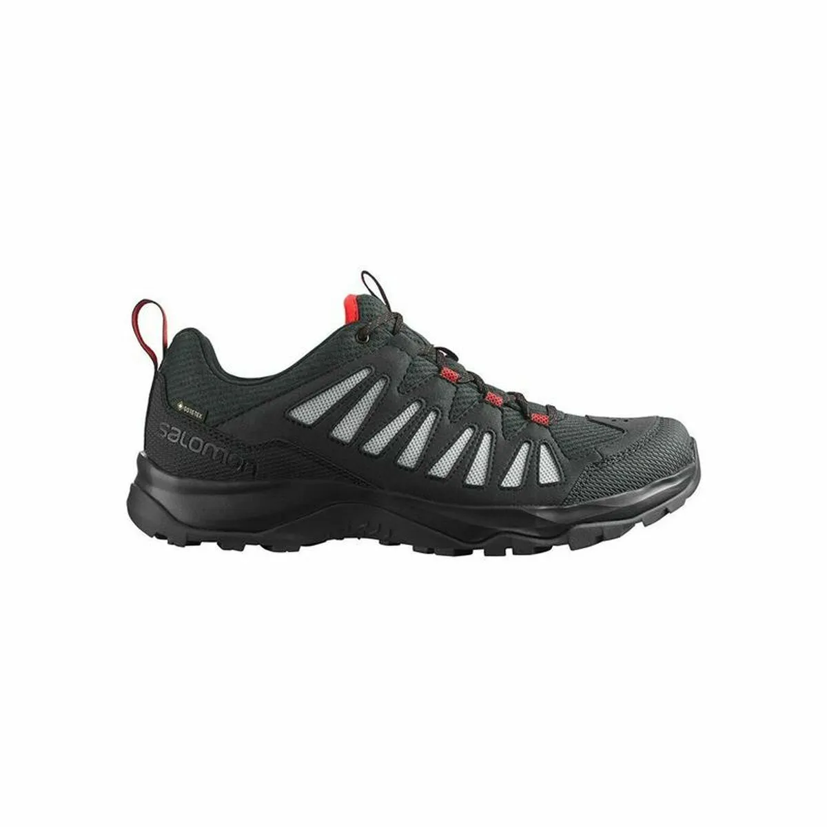 Scarpe da Running per Adulti Salomon Eos Gore Tex  Nero