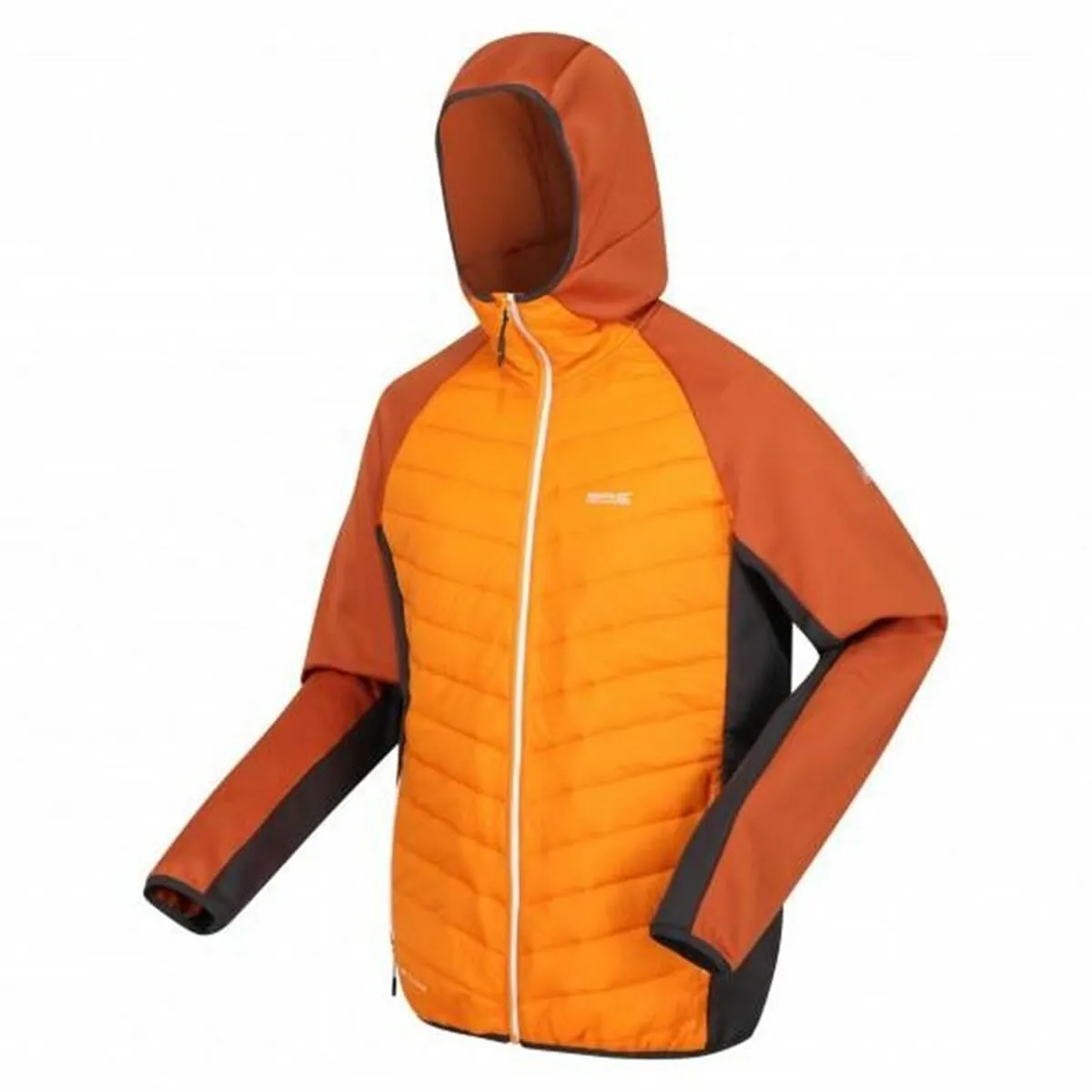 Giacca Sportiva da Uomo Regatta Andreson VIII Hybrid Arancio