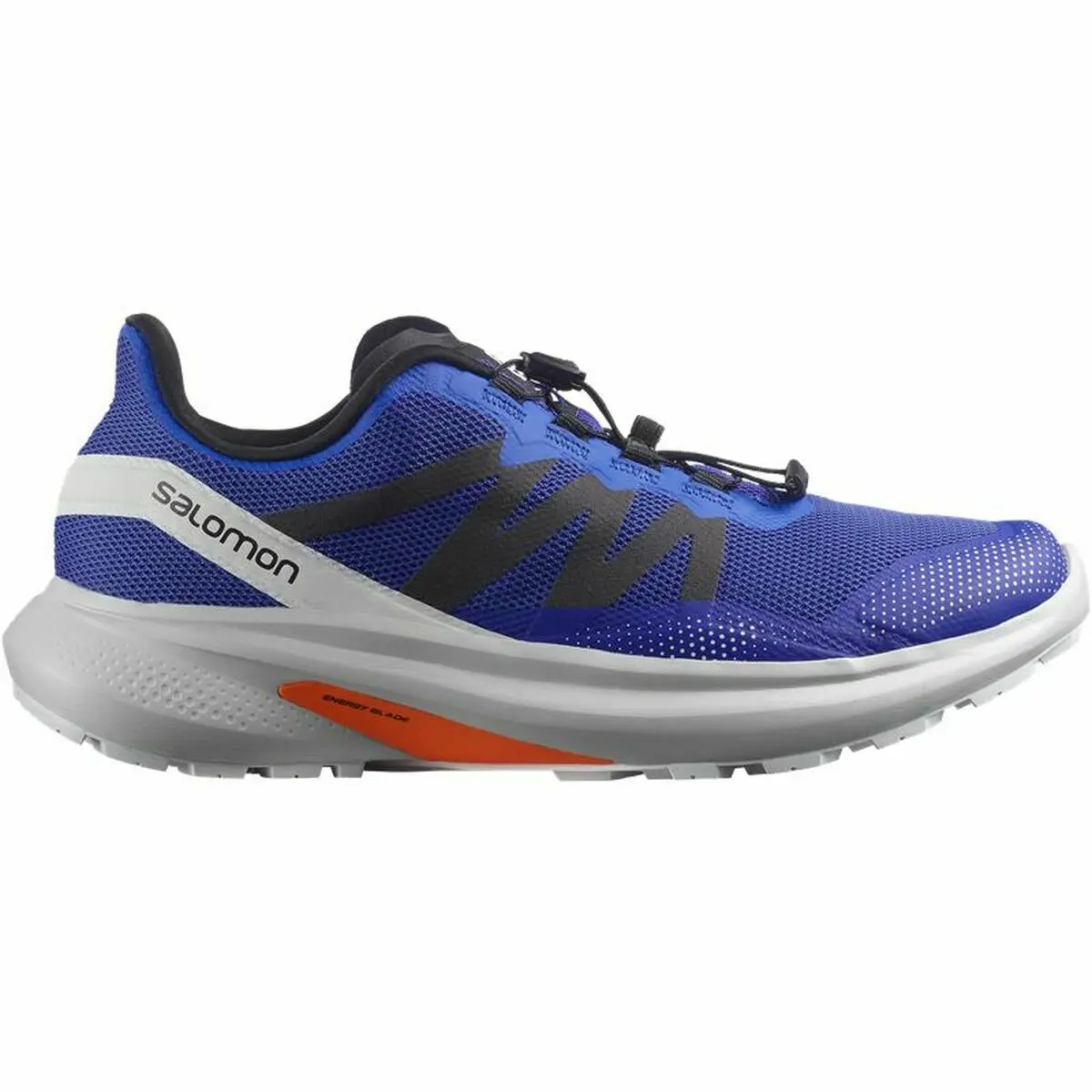 Scarpe Sportive Uomo Salomon Dazzling Hypulse Azzurro