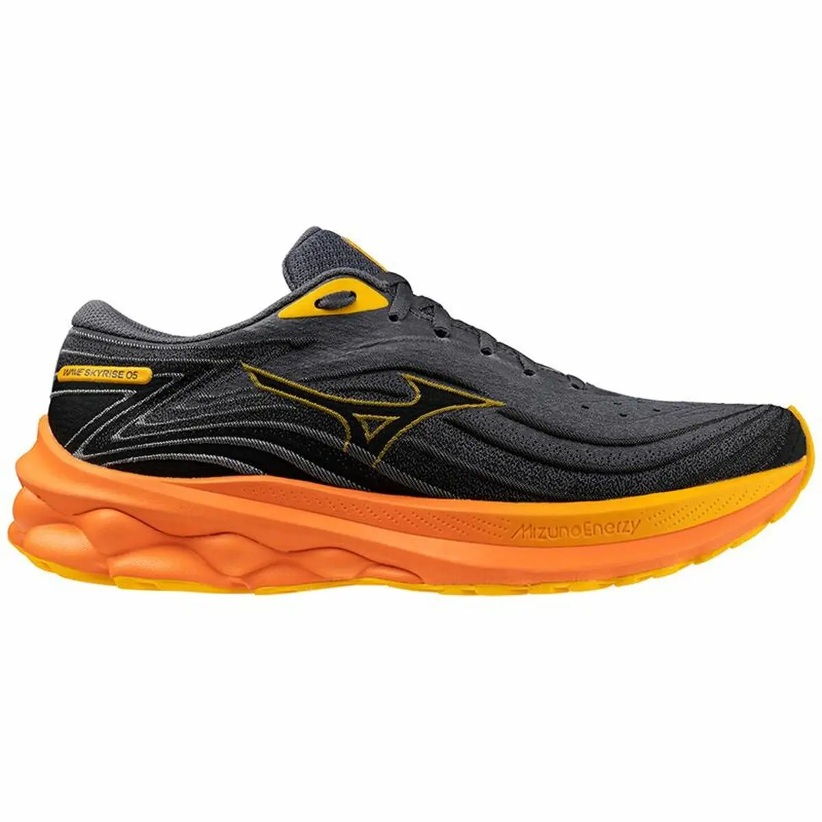 Scarpe da Running per Adulti Mizuno Wave Skyrise 5 Grigio scuro