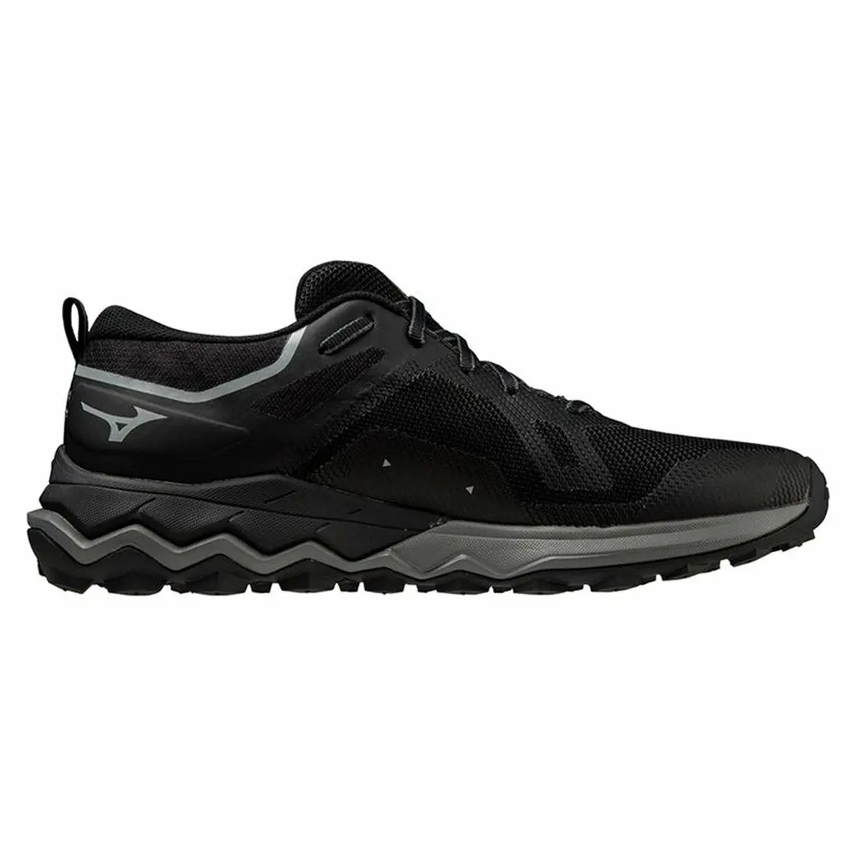 Scarpe da Running per Adulti Mizuno Wave Ibuki 4 Gore-Tex Nero