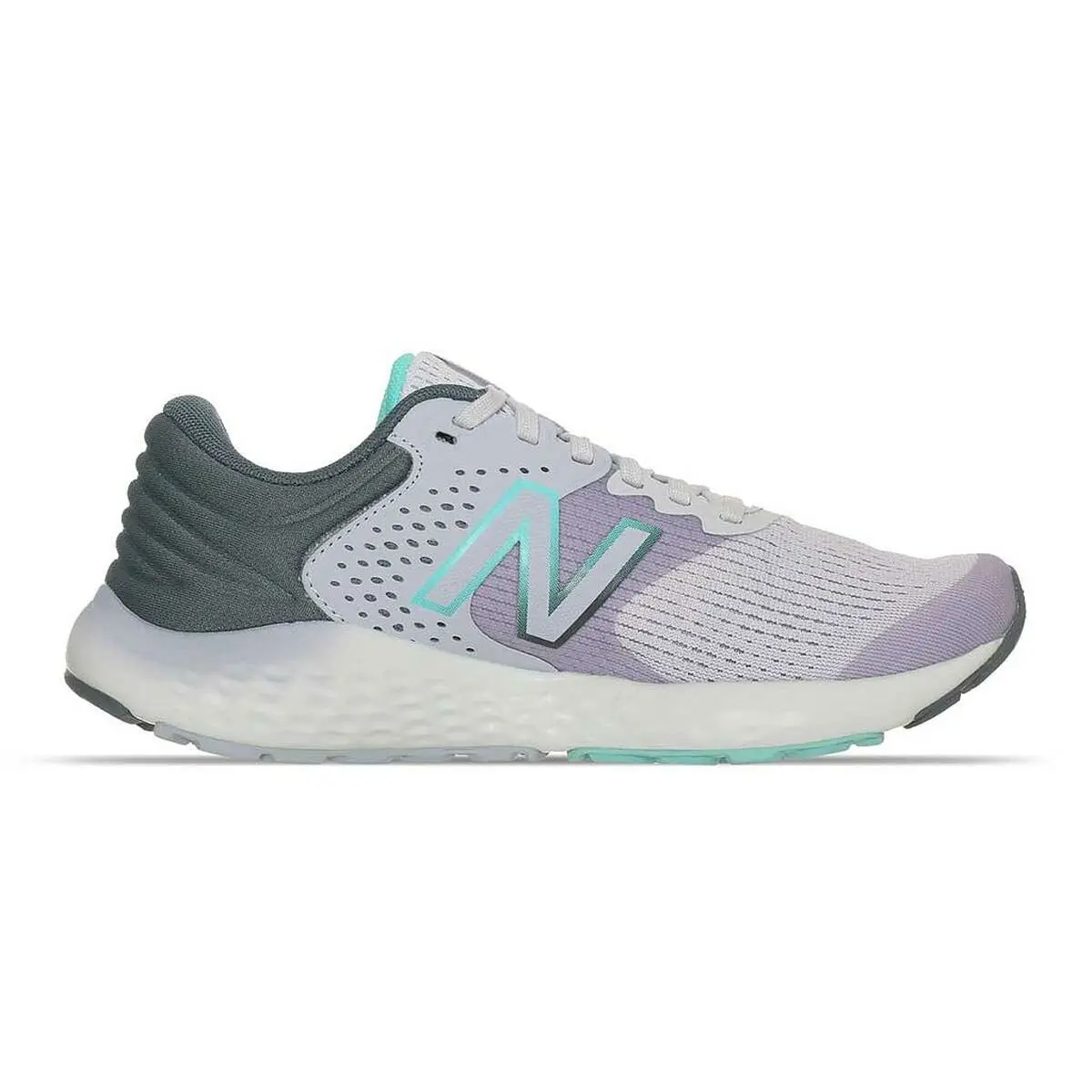 Scarpe da Running per Adulti New Balance Fresh Foam W520 RG7 Viola Donna