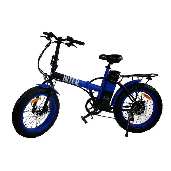 E BIKE 36V 10AH 20X4P - X8 INTER