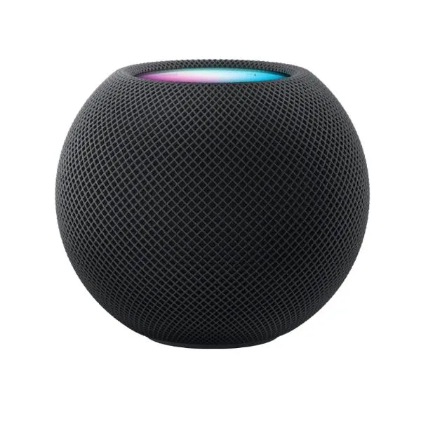 HOMEPOD MINI SPACE GRAY