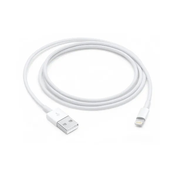 LIGHTNING TO USB CABLE (1 M)