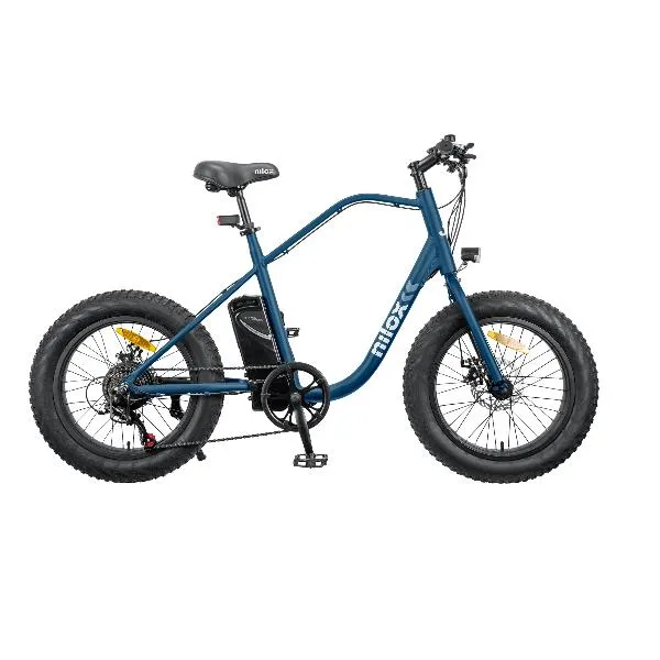 E BIKE 36V 13AH 20X4P - J3 PLUS