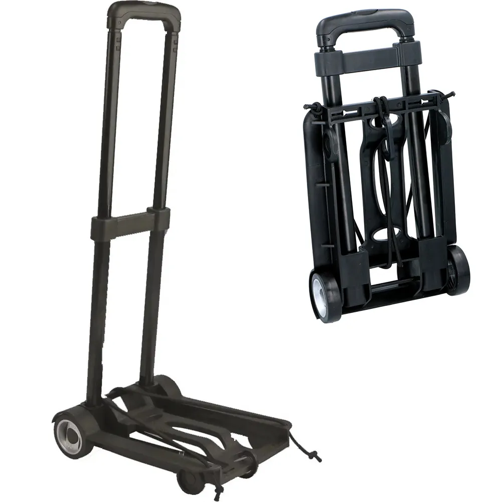 Carrello Pieghevole con Maniglia Estensibile Portata 40 kg Portapacchi Trasloco (1)