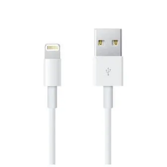 LIGHTNING TO USB CABLE (0.5 M)