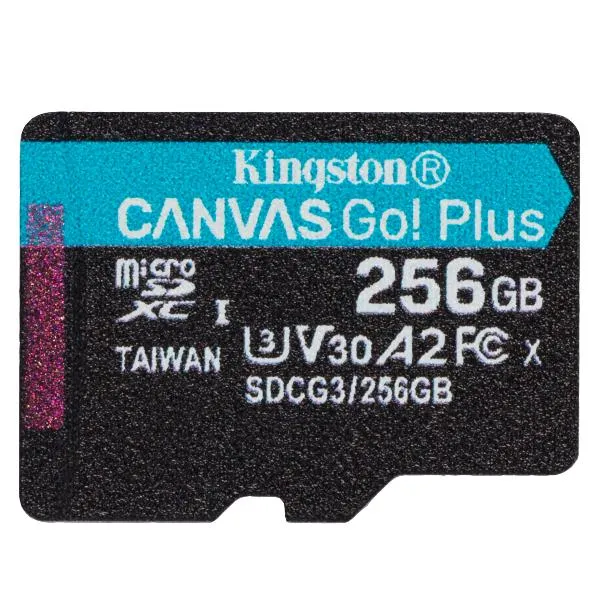 256GB MICROSDXC CANVAS GO PLUS