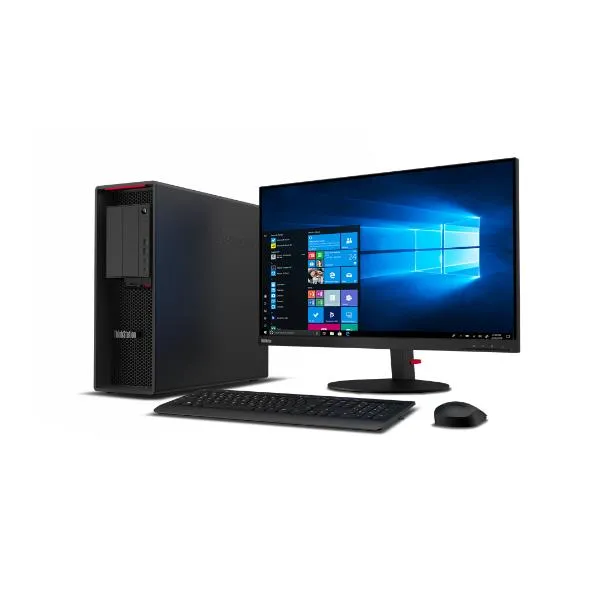 TS P620 64GB 1TB WIN11PRO