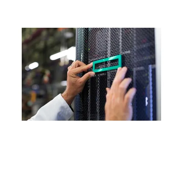 HPE DL38X GEN10 2 DRIVE NVME SL