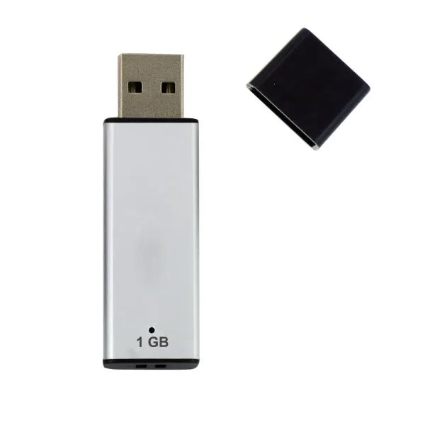 USB BULK 1GB 2.0 A