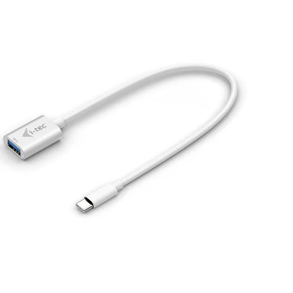 USB TYPE C TO TYPE A ADAPTER 20CM